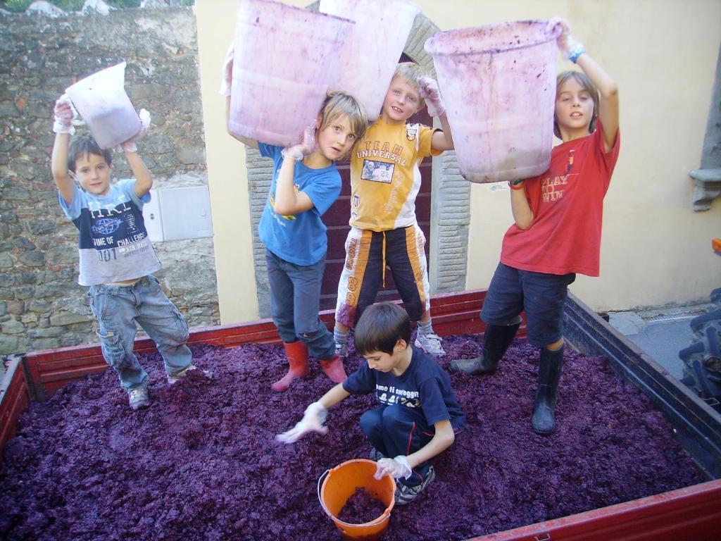 Willa Fattoria Gambaro Di Petrognano Collodi Zewnętrze zdjęcie